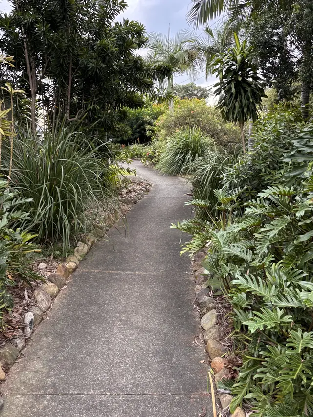 Garden path and subtropical beds kept clear and tidy at a Logan property