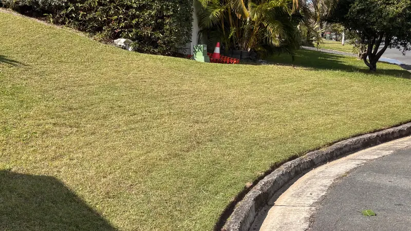 Front lawn mown and edged clean along the kerb in Logan