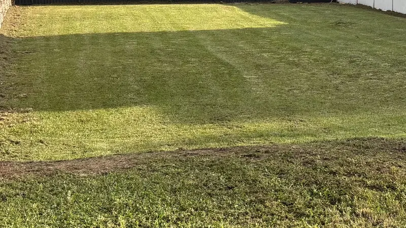 Even mowing lines across a freshly cut lawn